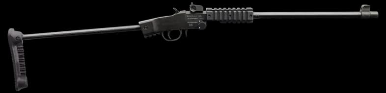 Chiappa Firearms Little Badger Take Down Xtreme Rifle