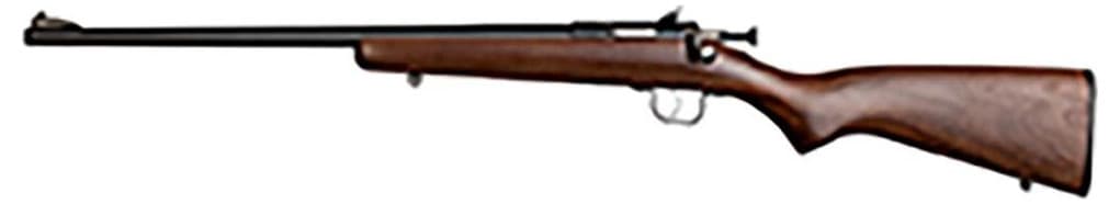 Keystone Sporting Arms Crickett Rifle