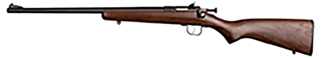 Keystone Sporting Arms Crickett Rifle